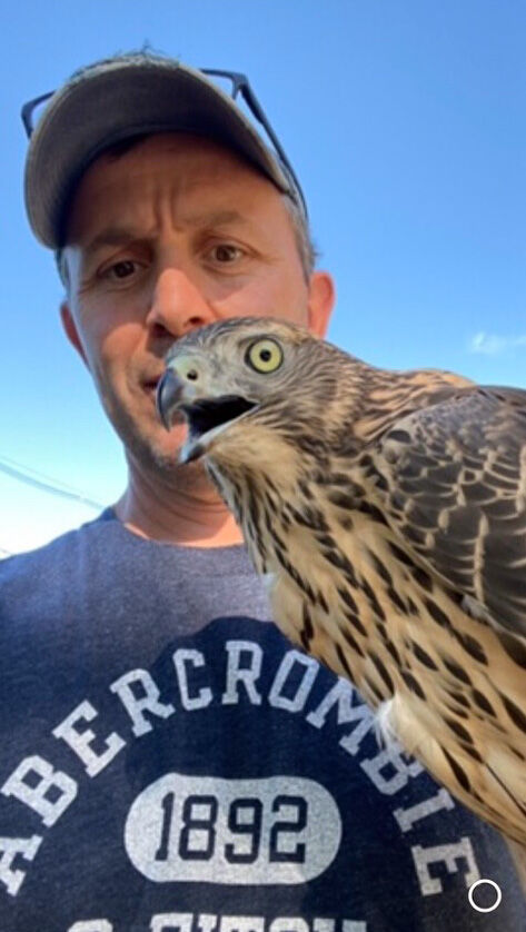 Finch 3.JPG
